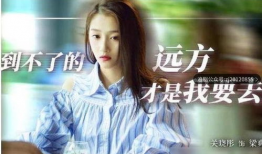 梁爽是哪部电视剧,都市职场女性的逆袭之路