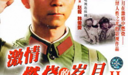 电视剧激情燃烧的岁月,一段烽火岁月的青春传奇
