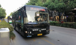 淄博公交91路视频直播,穿梭城市脉络，见证沿途风景