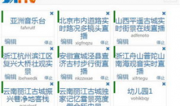 91flv视频直播系统,打造高效互动直播新体验