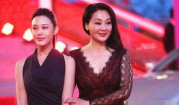 王姬电视剧,演绎人生百态，展现时代变迁