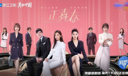 电视剧正青春,奋斗与成长的青春之歌
