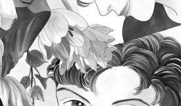 花样男子漫画,校园贵族的浪漫传奇