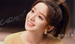 王蕾主演的电视剧,情感纠葛与成长蜕变