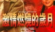 电视剧激情燃烧的岁月,一段烽火岁月的青春传奇