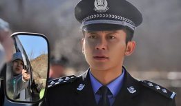 警察 电视剧,守护正义的守护者