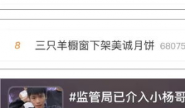 小杨哥直播间91,揭秘直播带货背后的秘密