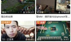 骚白91万直播全程录像,精彩瞬间与幕后故事