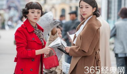 乱世丽人行电视剧,烽火岁月中的女性传奇