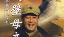 戈壁母亲电视剧,坚韧与爱的史诗