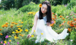 花麻豆,探寻古老植物的神奇魅力