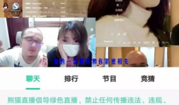 91直播平台没了吗,辉煌不再，探寻其没落之谜