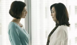 出轨女人电视剧,情感漩涡中的救赎与抉择