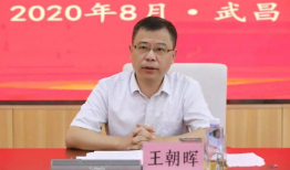 王朝晖是哪部电视剧,揭秘宫廷秘史的传奇人生