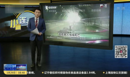 老人91岁开直播好吗,跨越年龄的直播传奇