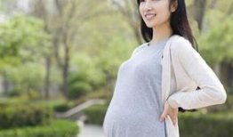 孕妇能吃麻豆吗,麻豆的适宜与禁忌