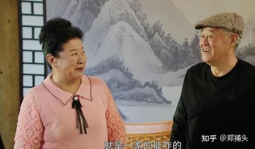 刘老根电视剧,东北乡村的传奇人生