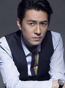 靳东主演电视剧有哪些,经典角色演绎，魅力无限