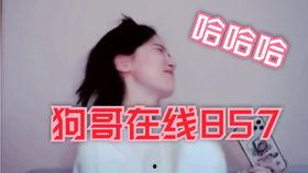 91狗哥在哪直播,揭秘热门主播的直播平台选择